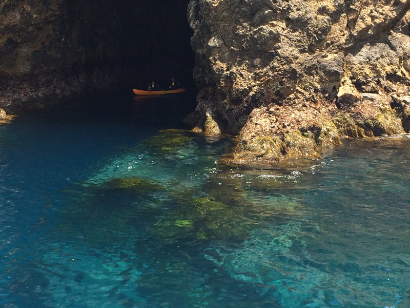 The Perfect Day - Snorkelling at the Poor Knights Islands