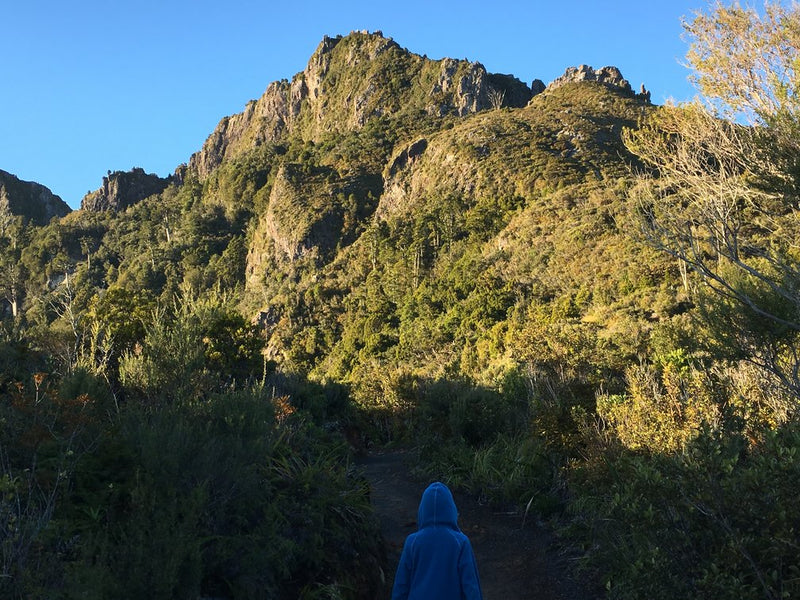 Hiking to the Pinnacles hut with kids